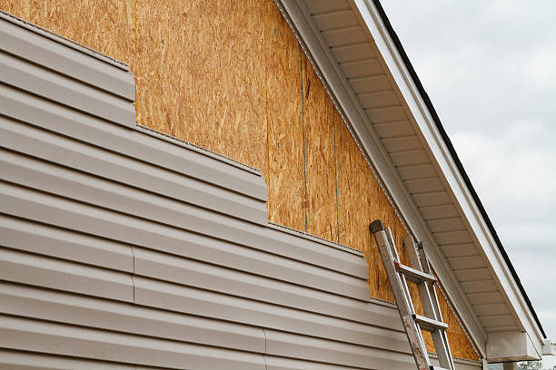 Professional Siding Repair technician working in Maplewood, MN